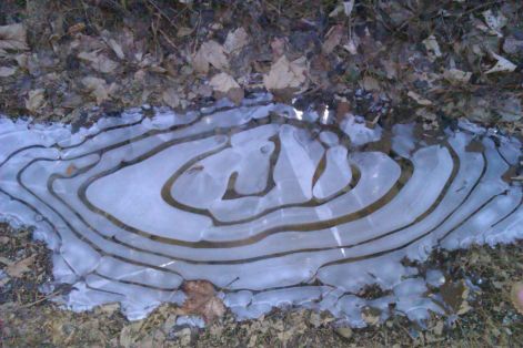 imag0174.jpg