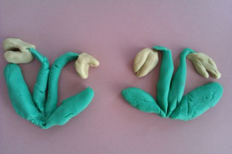 imag0308.jpg