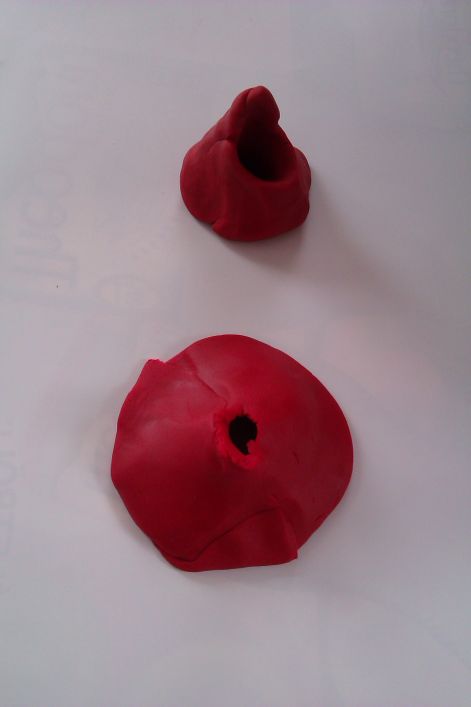 imag0511.jpg