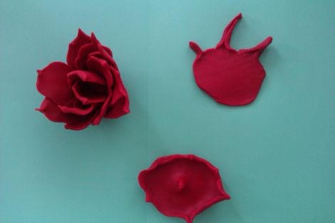 imag0699.jpg
